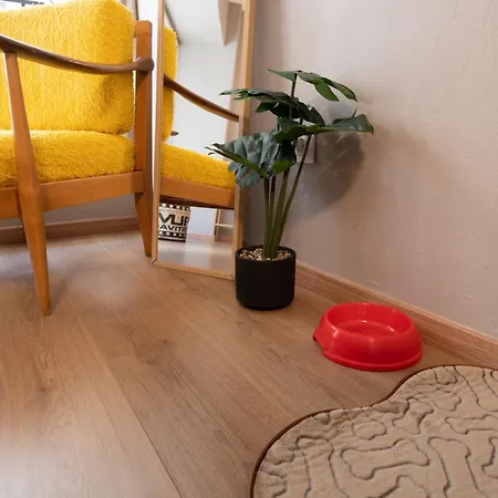 Convenience Spot @ Dragoumi * 테살로니키